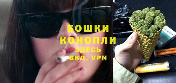 Альфа ПВП Аркадак