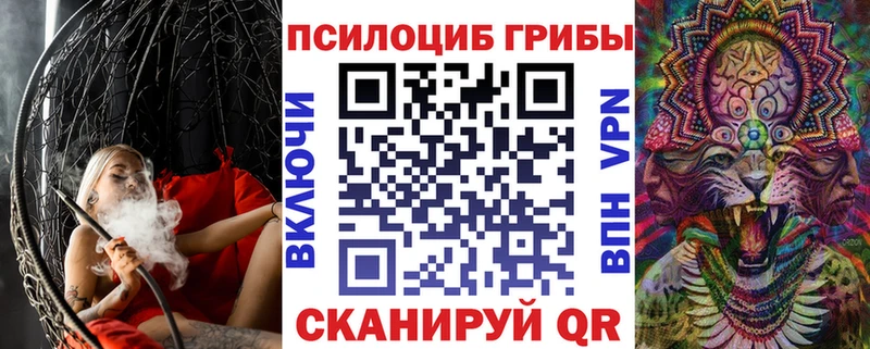 OMG ONION купить закладку Суровикино Псилоцибиновые грибы GOLDEN TEACHER