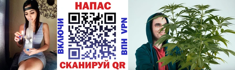 Канабис конопля  Суровикино 